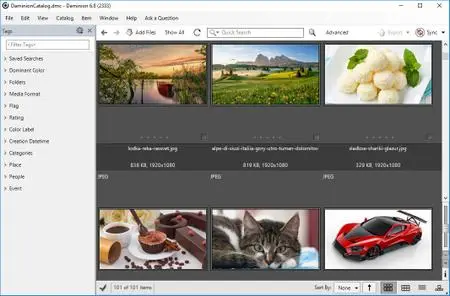 Daminion Pro 6.8.0 Build 2333 Multilingual