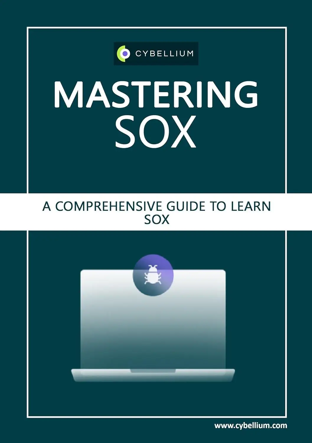 Mastering SOX: A Comprehensive Guide to Learn SOX Compliance