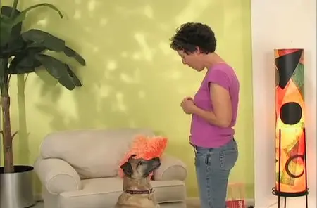 Training Your Adopted Dog [repost]