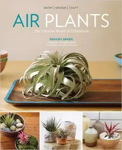 Air Plants: The Curious World of Tillandsias (Repost)