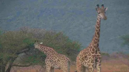 3D Safari: Africa (2011)