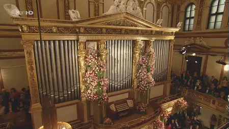 Neujahrskonzert der Wiener Philarmoniker / Vienna Philharmonic. New Year's Concert (2013)