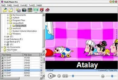 Portable Flash Player Pro 3.65 