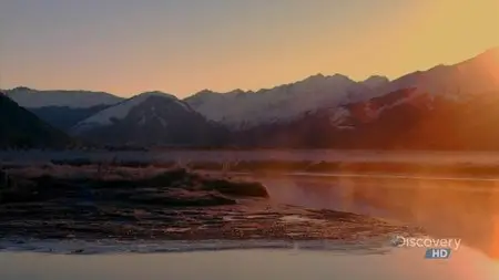 DC Sunrise Earth Viewers Choice - New Zealand Frost (2009)