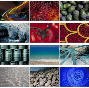 Corel Professional Photos - Backgrounds and Textures V