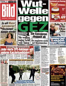 Bild Zeitung vom 11 Januar2013