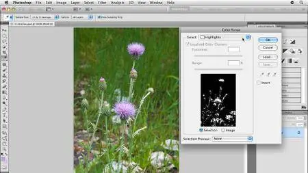 Photoshop CS5: Selections in Depth