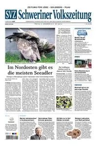 Schweriner Volkszeitung Zeitung für Lübz-Goldberg-Plau - 27. Dezember 2019