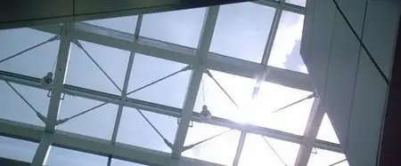 Infernal Affairs III (2003)