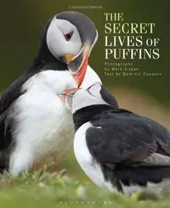 The Secret Lives of Puffins (Repost)