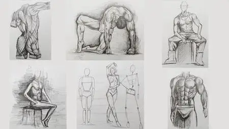 Figure Drawing Course From Beginner To Advanced