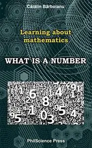 Learning about mathematics. What is a number