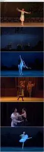 Valery Gergiev, Mariinsky Ballet, Ulyana Lopatkina, Danila Korsuntsev - Tchaikovsky: Swan Lake (2008) [Blu-Ray]