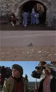 The Black Stallion Returns (1983)