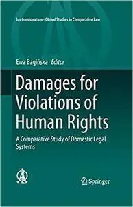 Damages for Violations of Human Rights: A Comparative Study of Domestic Legal Systems