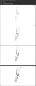 Dynamic Anatomy for Artists - Drawing the Muscles of the Arm