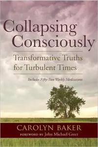 Collapsing Consciously Meditations: Further Reflections for Turbulent Times