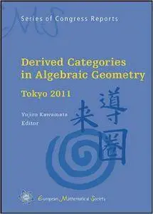 Derived Categories in Algebraic Geometry (Repost)
