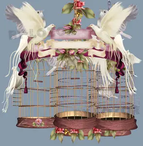 Bird Cages
