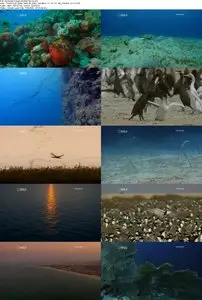 National Geographic - Desert Seas (2011)
