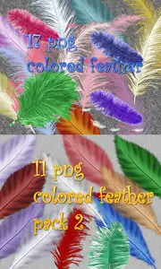 ClipArt - Collection of Feather