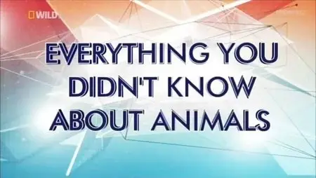 National Geographic - Everything You Didn't Know about Animals (2015)