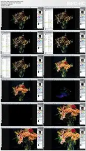 Lynda - Painter 2016 Essential Training