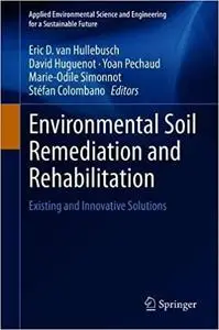 Environmental Soil Remediation and Rehabilitation: Existing and Innovative Solutions