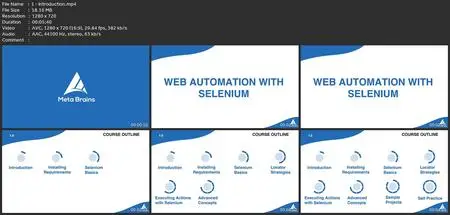 Mastering Selenium: Web Automation Essentials