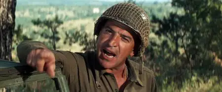 Kelly's Heroes (1970)