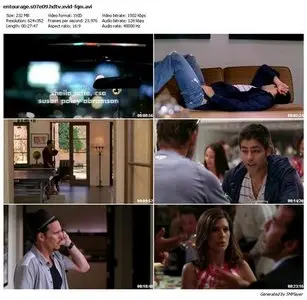 Entourage S07E09: Porn Scenes from an Italian Restaurant