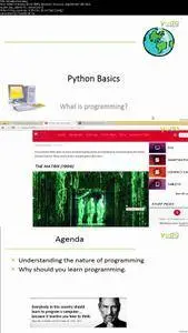 Python: Extract, Manipulate and Analyze Data with 5 Projects