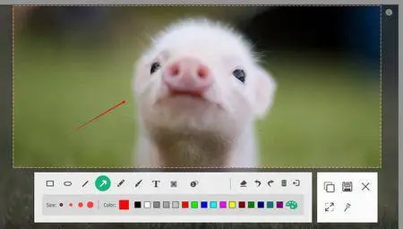 Apeaksoft Screen Recorder 1.0.10 Multilingual
