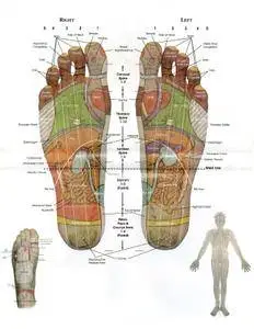 Reflexology - A Practical guide by Carol Gilbey [repost]