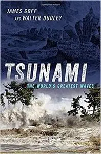Tsunami: The World's Greatest Waves