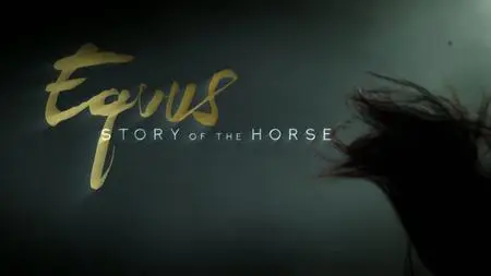 CBC The Nature Of Things - Equus: Story of the Horse: Chasing the Wind (2018)