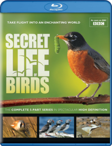 BBC - The Secret Life of Birds (2011) [ReUp]