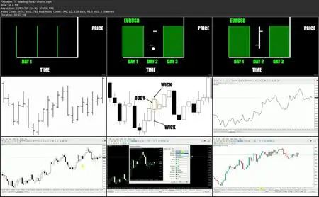 Forex Trading Course for Beginners: Secret Strategy Unveiled