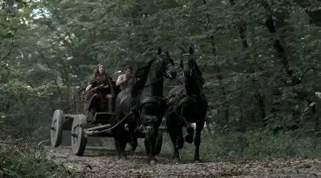 Dragonheart 3: The Sorcerer's Curse (2015)