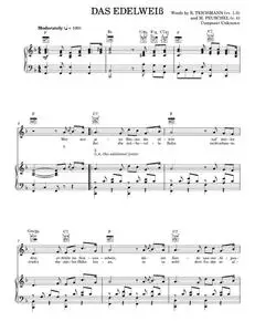 Das Edelweiss - M. Peuschel, R. Teichmann (Piano-Vocal-Guitar)