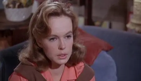 Sweet November (1968) - Robert Ellis Miller