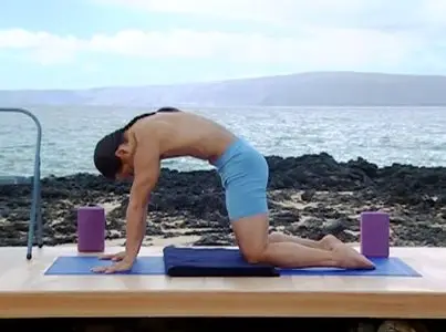 Rodney Yee - Back Care Yoga for Beginners