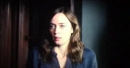 The Girl on the Train (2016)