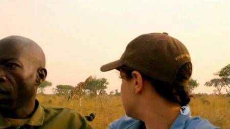 PBS - NATURE: Giraffes: Africa's Gentle Giants (2018)