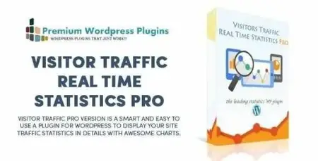Visitor Traffic Real Time Statistics Pro v11.9.2