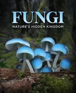 BBC - Fungi: The Web of Life (2023)