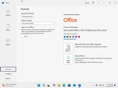 Windows 11 Pro 24H2 Build 26100.2033 (No TPM Required) With Office 2024 Pro Plus Multilingual Preactivated October 2024