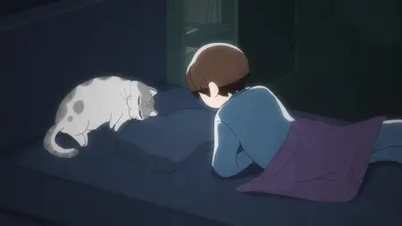Nights with a Cat - 100