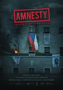 Amnesty (2019) Amnestie