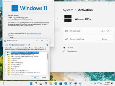 Windows 11 AIO 16in1 24H2 Build 26100.3323 (No TPM Required) Preactivated